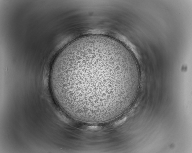 X0000103410153200810031254