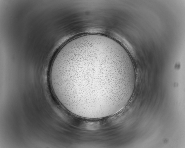 X0000103410155200810031254