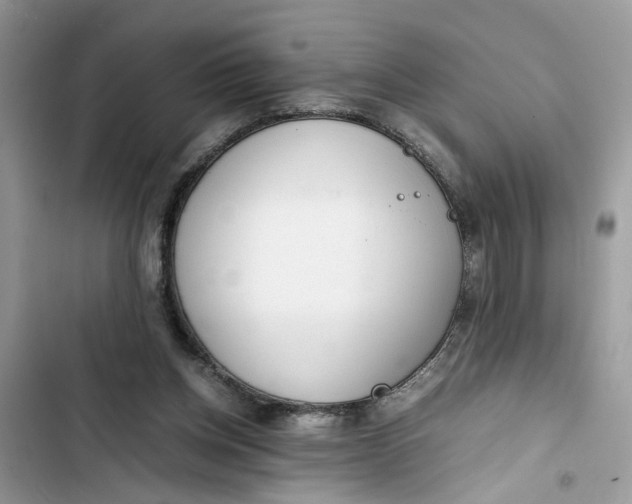 X0000103410158200810031254