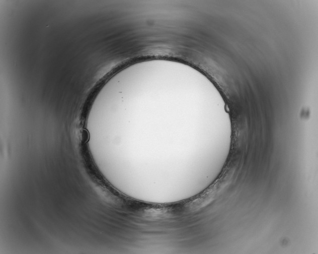 X0000103410160200810031254