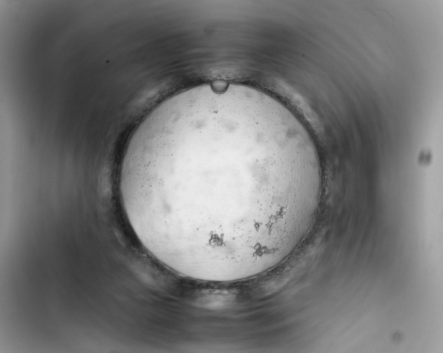 X0000103410161200810031254