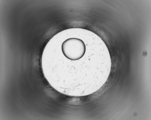 X0000103410162200810031254