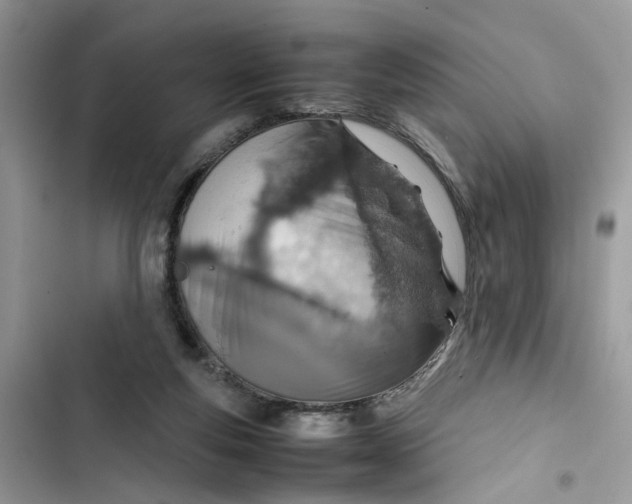 X0000103410163200810031254