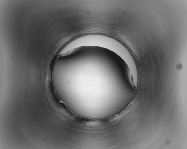 X0000103410164200810031254