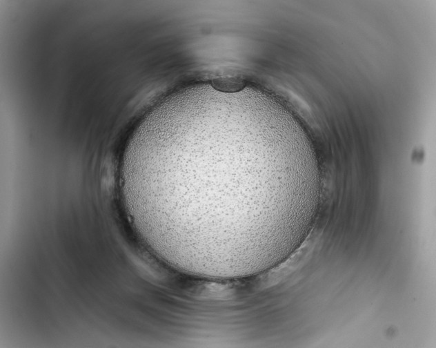 X0000103410166200810031254