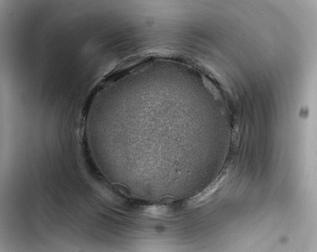 X0000103410168200810031254