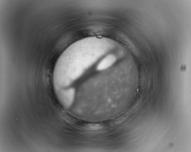 X0000103410169200810031254