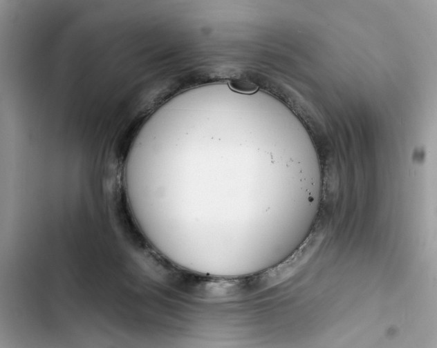 X0000103410172200810031254