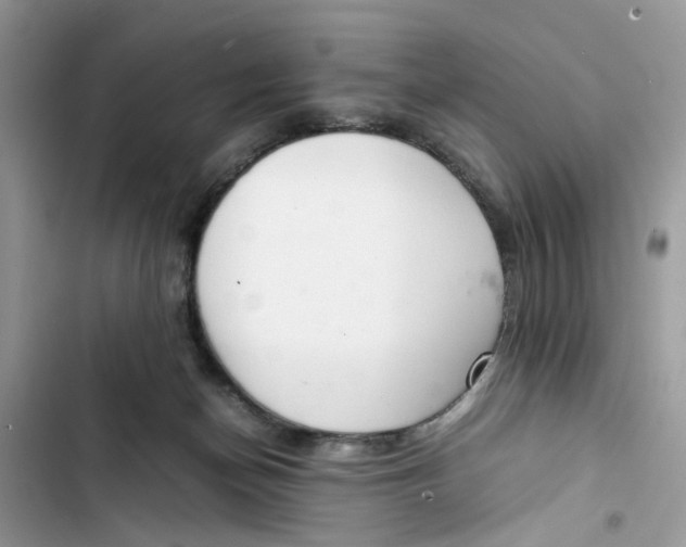 X0000103410174200810031254