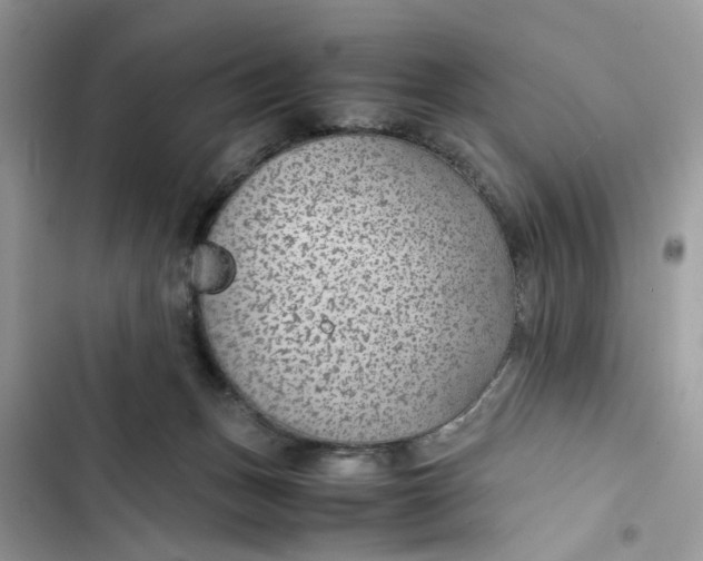 X0000103410175200810031254