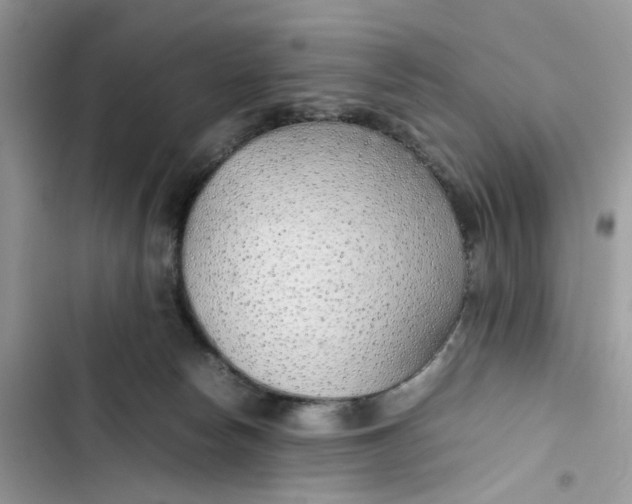 X0000103410178200810031254