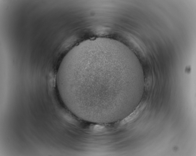 X0000103410180200810031254