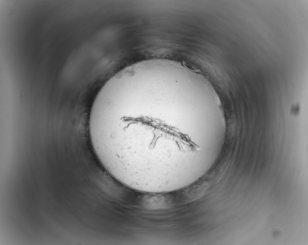 X0000103410181200810031254