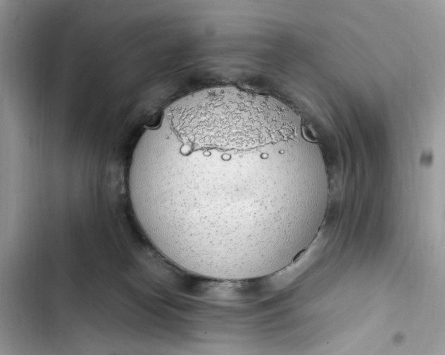 X0000103410182200810031254