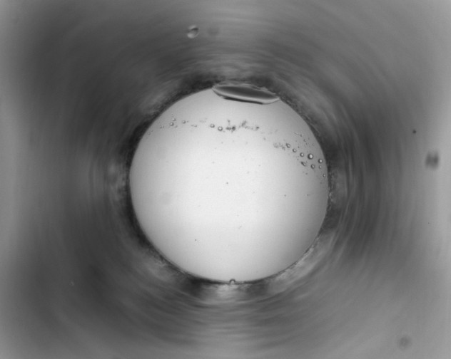 X0000103410184200810031254