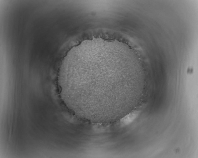 X0000103410192200810031255