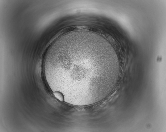 X0000103410194200810031254