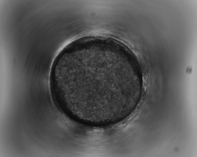 X0000103410196200810031254