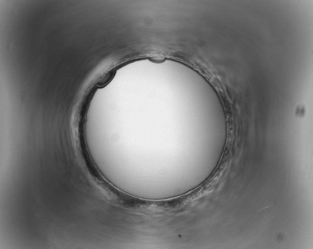 X0000103410197200810031254