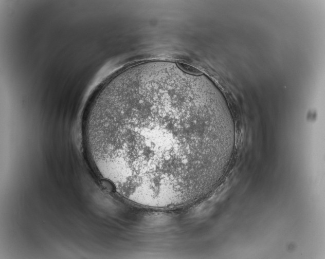 X0000103410198200810031254