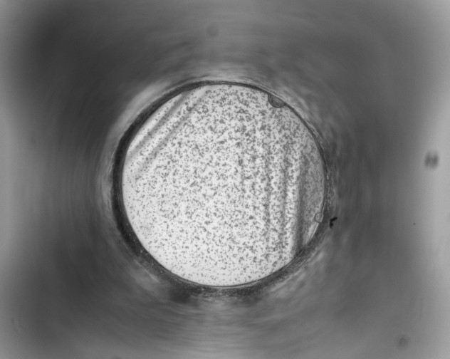 X0000103410199200810031254