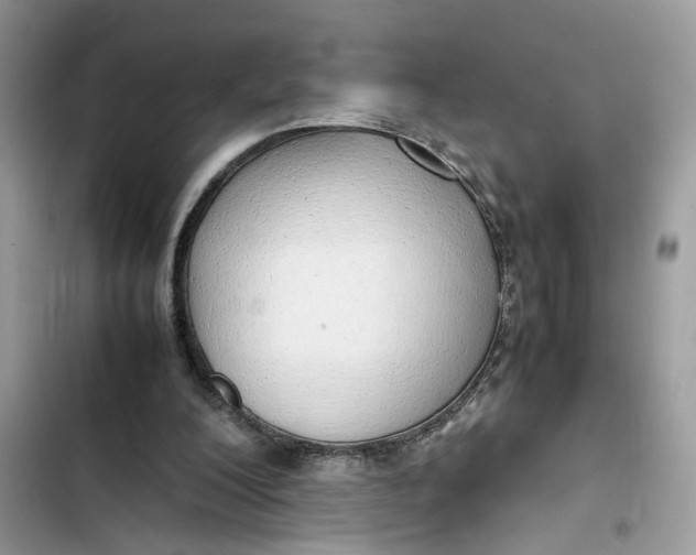 X0000103410200200810031254