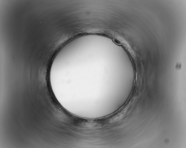 X0000103410201200810031254