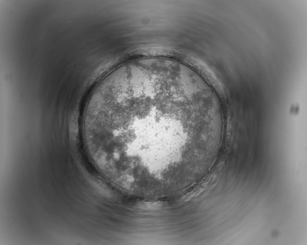 X0000103410202200810031254