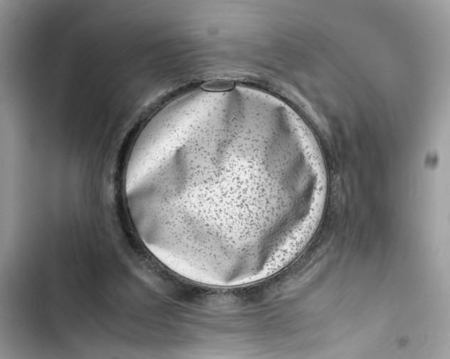 X0000103410203200810031254