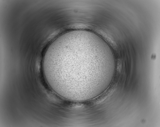 X0000103410206200810031254