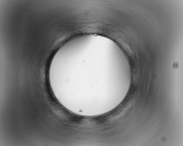 X0000103410207200810031254