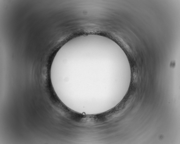 X0000103410211200810031254