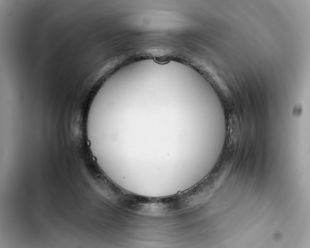 X0000103410212200810031254