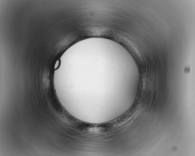 X0000103410216200810031254