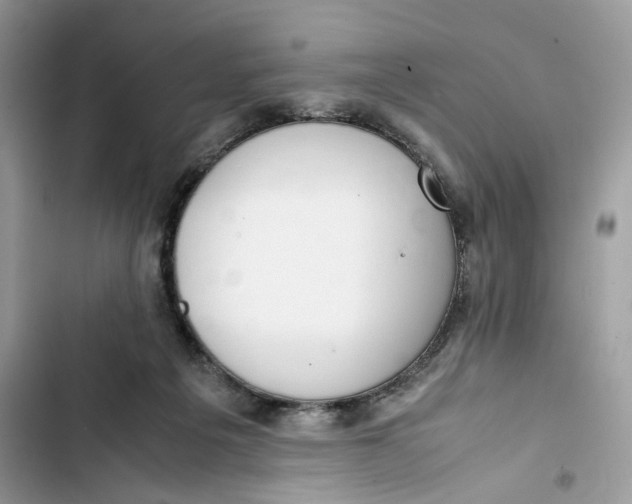 X0000103410217200810031254