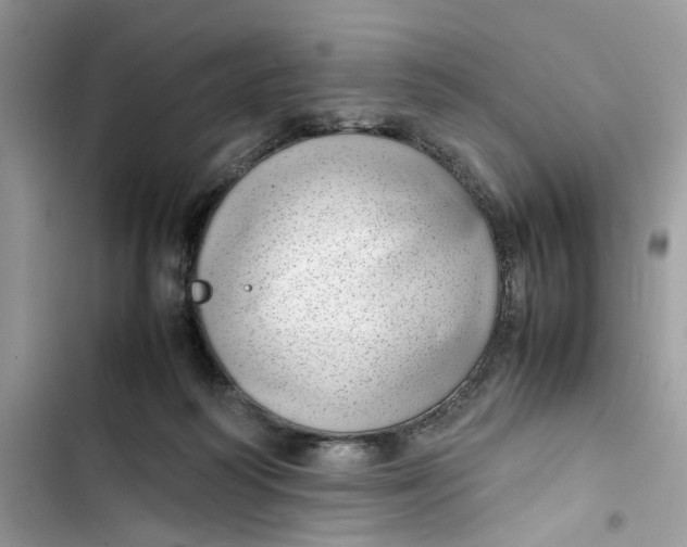 X0000103410218200810031254