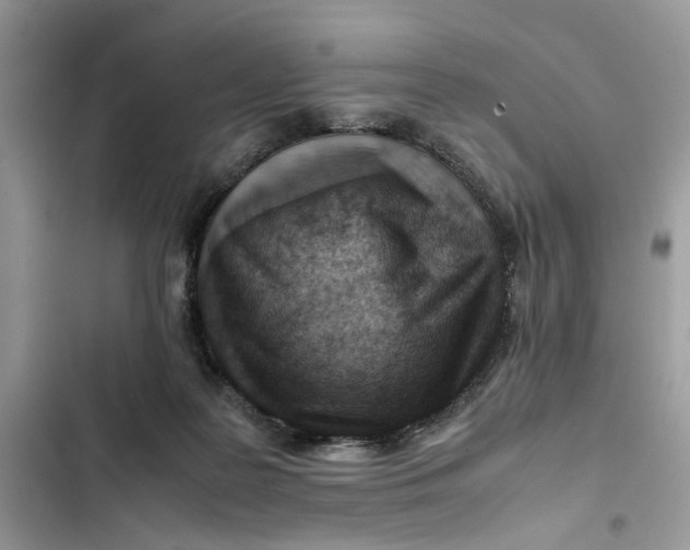 X0000103410219200810031254