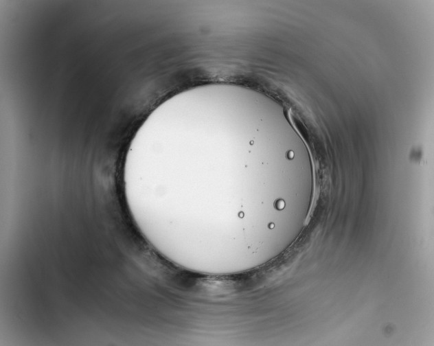 X0000103410221200810031254