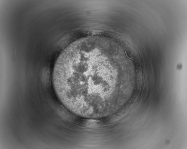 X0000103410222200810031254