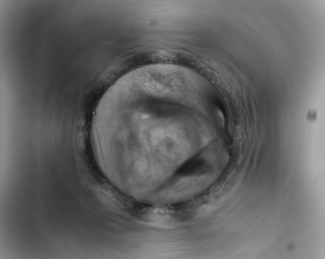 X0000103410223200810031253