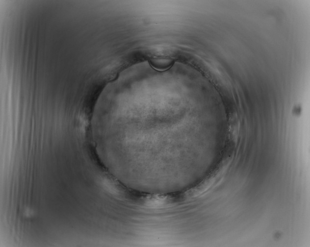 X0000103410235200810031253