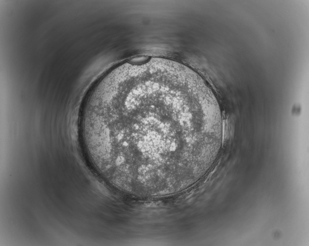 X0000103410243200810031253