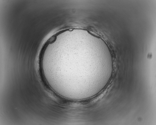 X0000103410246200810031253