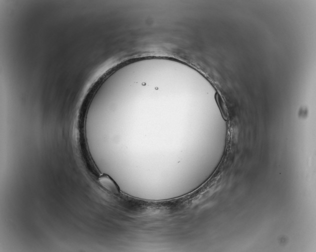 X0000103410248200810031253