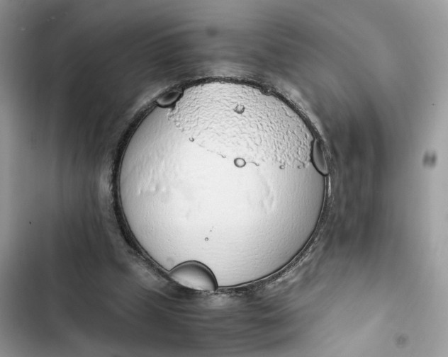 X0000103410249200810031253