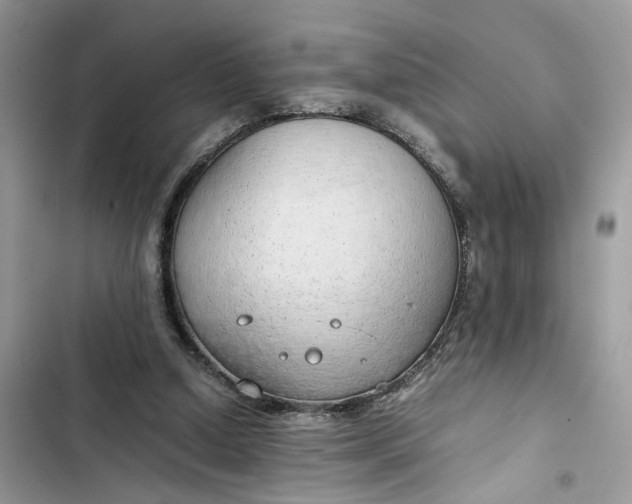 X0000103410250200810031253