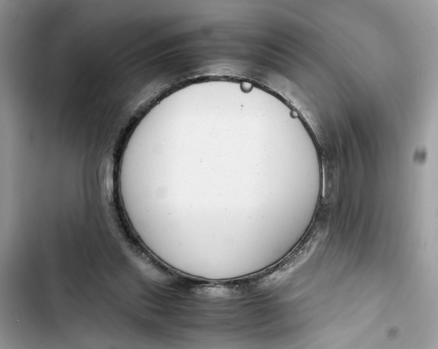 X0000103410253200810031253