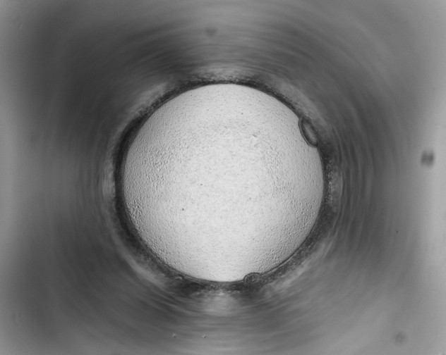 X0000103410254200810031253