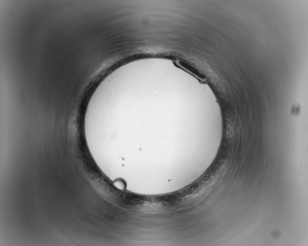 X0000103410256200810031253