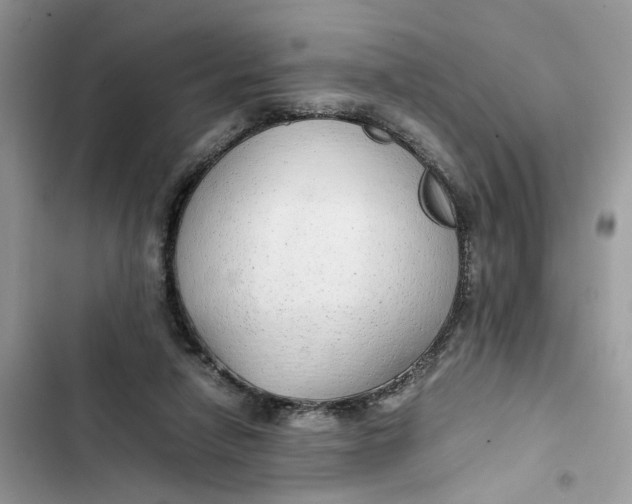 X0000103410258200810031253